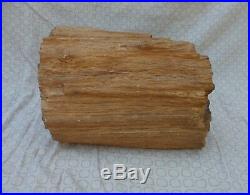 Petrified Wood Log, 13 x 8