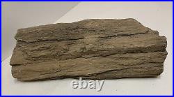 Petrified Wood Log 15x6 Lot Of Minerals 16lbs