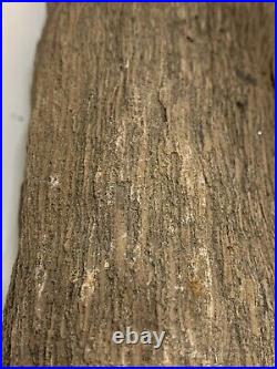 Petrified Wood Log 15x6 Lot Of Minerals 16lbs