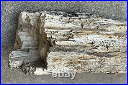 Petrified Wood Log 44 lb. 23 Long
