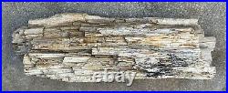 Petrified Wood Log 44 lb. 23 Long