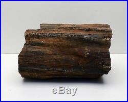 Petrified Wood Log Large Appx 66 Pounds