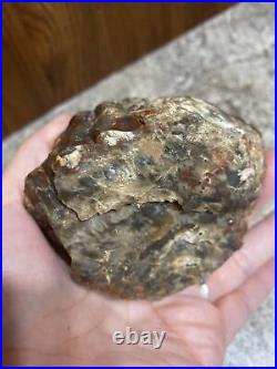 Petrified Wood Log Rock Mineral Quartz