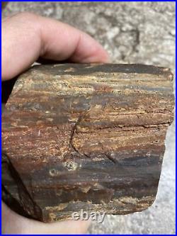 Petrified Wood Log Rock Mineral Quartz