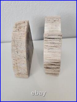 Petrified Wood Matching Book Ends Display Polished Fossil Rock