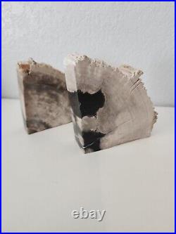 Petrified Wood Matching Book Ends Display Polished Fossil Rock