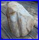 Petrified_Wood_Natural_Stone_Home_Decor_Mineralized_Wood_88Lbs_01_ghcp