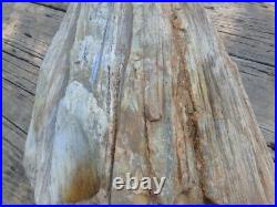 Petrified Wood Natural Stone Home Decor Mineralized Wood 88Lbs