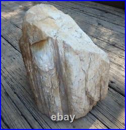 Petrified Wood Natural Stone Home Decor Mineralized Wood 88Lbs