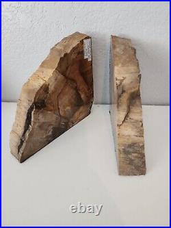 Petrified Wood OAK OREGON STINKING WATER Book Ends Display Polished Fossil Rock