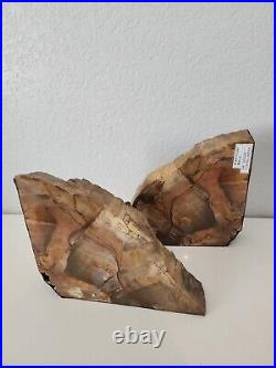 Petrified Wood OAK OREGON STINKING WATER Book Ends Display Polished Fossil Rock