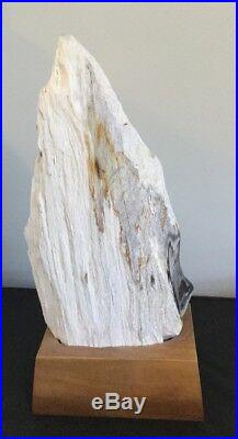 Petrified Wood On Stand Dated 25 Million Years Ago From Java Indonesia