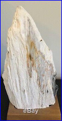 Petrified Wood On Stand Dated 25 Million Years Ago From Java Indonesia