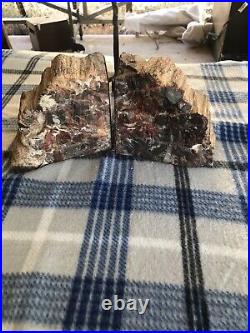Petrified Wood Polished Bookends Red Black Large Thick