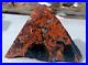 Petrified_Wood_Polished_Volcanic_Pyramid_Fossil_Rare_Limb_Cast_Yellow_Cat_Utah_01_vwyv
