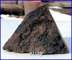 Petrified Wood Polished Volcanic Pyramid Fossil Rare Limb Cast Yellow Cat Utah