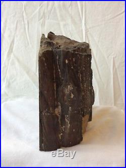 Petrified Wood Rough Bark Book End 10 Pounds