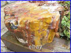 Petrified Wood Slab 7x15x16 80 lbs. With Sap Red Yellow Iron & Manganese Oxides
