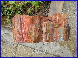 Petrified Wood Slab 7x15x16 80 lbs. With Sap Red Yellow Iron & Manganese Oxides