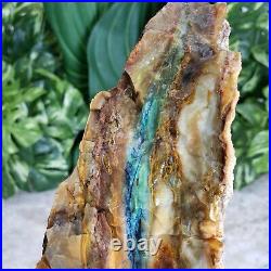 Petrified Wood Slab Large Green Blue Opalized Wood Stone Rocks Fossils Minerals