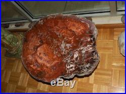 Petrified Wood Slab Table Top With Burl Wood Legs Red Jasper & White Quartz 29