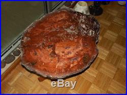 Petrified Wood Slab Table Top With Burl Wood Legs Red Jasper & White Quartz 29