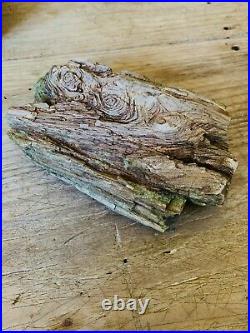 Petrified Wood Specimen Uncut Unpolished In Natural Found State Rare With Knots