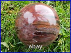Petrified Wood Sphere Orb Quartz Crystal Ball Fossil Mineral UV Druzy, 1266g Petrified Wood Sphere Orb Quartz Crystal Ball Fossil Mineral UV Druzy, 1266g