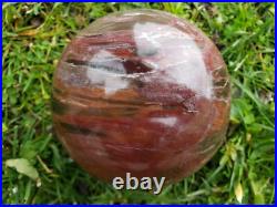 Petrified Wood Sphere Orb Quartz Crystal Ball Fossil Mineral UV Druzy, 1266g Petrified Wood Sphere Orb Quartz Crystal Ball Fossil Mineral UV Druzy, 1266g