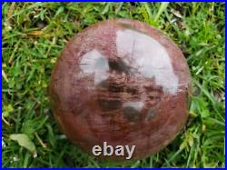 Petrified Wood Sphere Orb Quartz Crystal Ball Fossil Mineral UV Druzy, 1266g Petrified Wood Sphere Orb Quartz Crystal Ball Fossil Mineral UV Druzy, 1266g