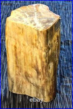 Petrified Wood Stool, Indonesia
