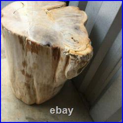 Petrified Wood Stump Fossil Side Table 300+ Pounds Local Pick-Up