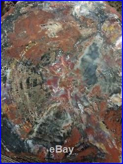 Petrified Wood Table Top Round Arizona Red, Gray, Black, Tan 44.5 X 1.5 thick