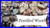 Petrified_Wood_Top_4_Crystal_Wisdom_Benefits_Of_Petrified_Wood_Crystal_Stone_Of_Wisdom_01_jce