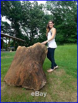 Petrified Wood Tree 48 ft + long altogether, 2 1/2 5 ft diameter, 80-100K Lbs