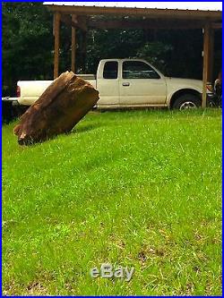 Petrified Wood Tree 48 ft + long altogether, 2 1/2 5 ft diameter, 80-100K Lbs