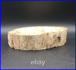 Petrified Wood Trinket Candy Dish Bowl Heavy Mid Century