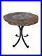 Petrified_Wood_With_Wrought_Iron_Base_Side_Table_Blue_01_hap