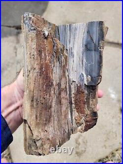 Petrified Wood large rough 9 pounds 15 ounces