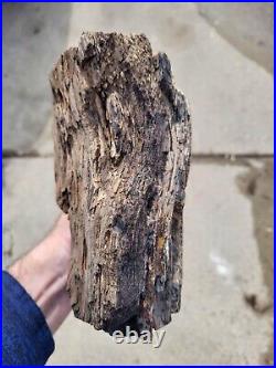 Petrified Wood large rough 9 pounds 15 ounces