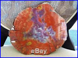 Petrified Wood slab polished very beautiful from Navajo Reservation. 2 lbs
