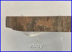 Petrified Wood with Bark Edges & Quartz Crystal Veins Polished Front 7 W