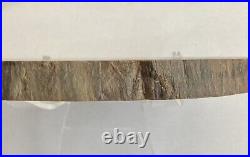 Petrified Wood with Bark Edges & Quartz Crystal Veins Polished Front 7 W