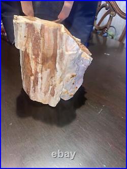 Petrified wood Cedar Log