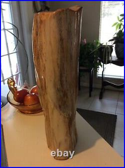 Petrified wood log completely polished