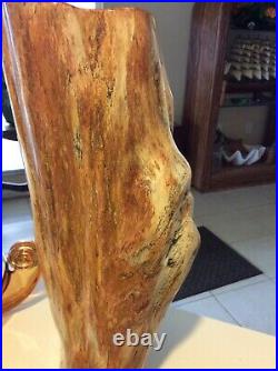 Petrified wood log completely polished