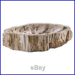Petrified wood natural sink / Lavabo en bois pétrifié / Lavabo in legno fossile