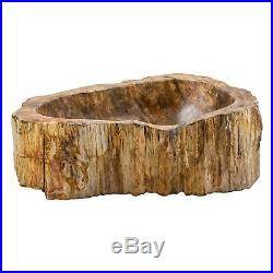 Petrified wood natural sink / Lavabo en bois pétrifié / Lavabo in legno fossile