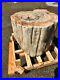 Petrified_wood_stool_stump_table_pedestal_fossil_01_sq