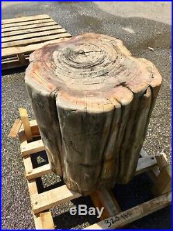 Petrified wood stool stump table pedestal fossil